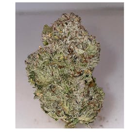 Gorilla Gas