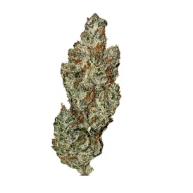 Guava tangie $110 Oz