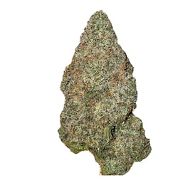 Glitter Bomb $80 Oz Deal