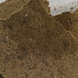 Grape Ape Moroccan Hash