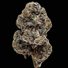 Oreo Blizzy Tier 1