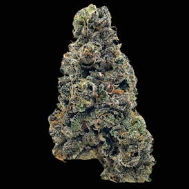 Jealousy gold Edition $110 Oz deal