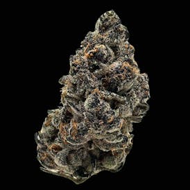 Sugar Berry Platinum edition