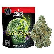 Garlic Ghost | Flower | 7g