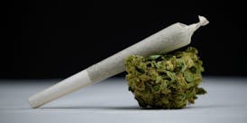 Jack Herer Joint 1g $8.00 D Botanicals