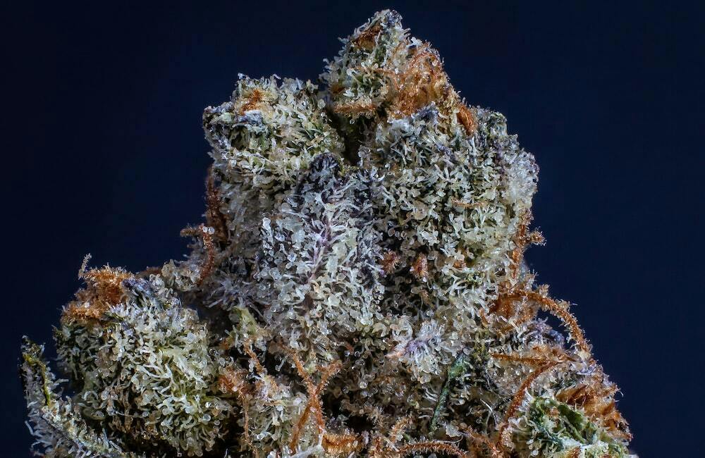 Karma Flower Sweet Gas Tank 8th ($24) cannabis product