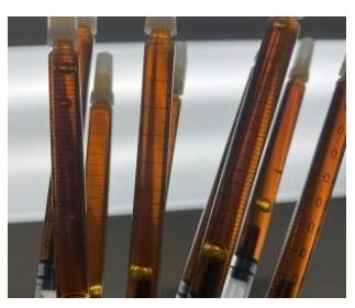 Golden Jack Syringe 1000mg RSO West Edison