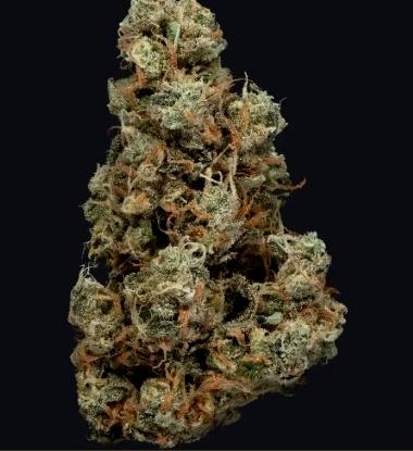 Haze Weaver (Jack Herer Brand) (25.8%) $35 1/8th