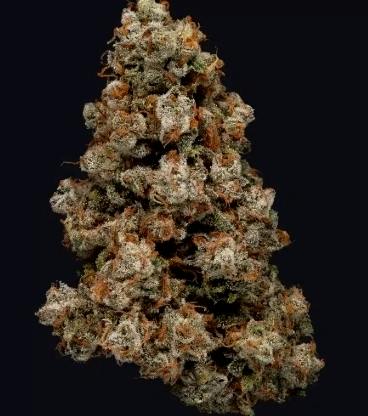 Blue Dream (Jack Herer Brand) (23.5%) $35 1/8th