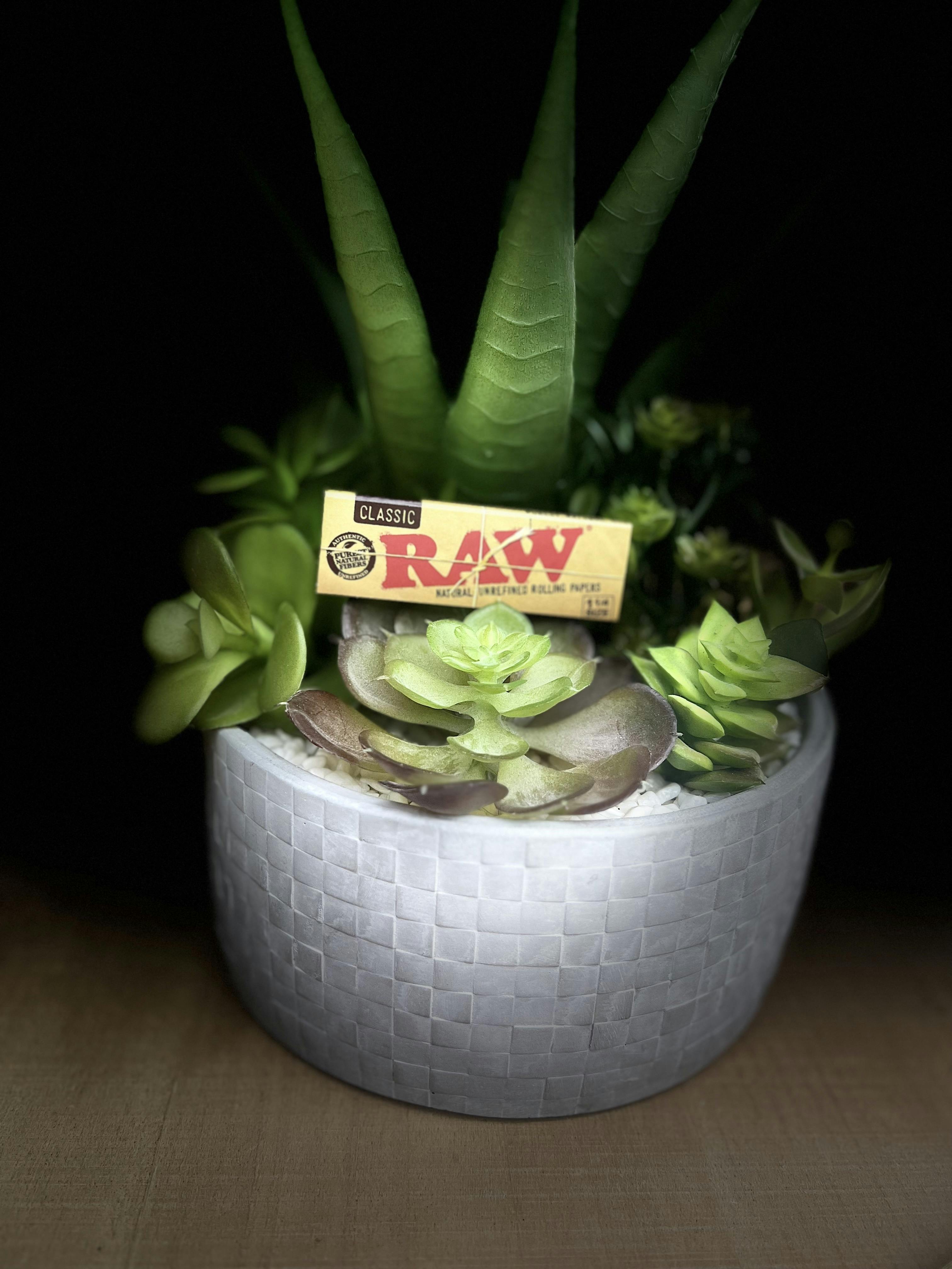 RAW | PAPERS | Ethereal | King Slim