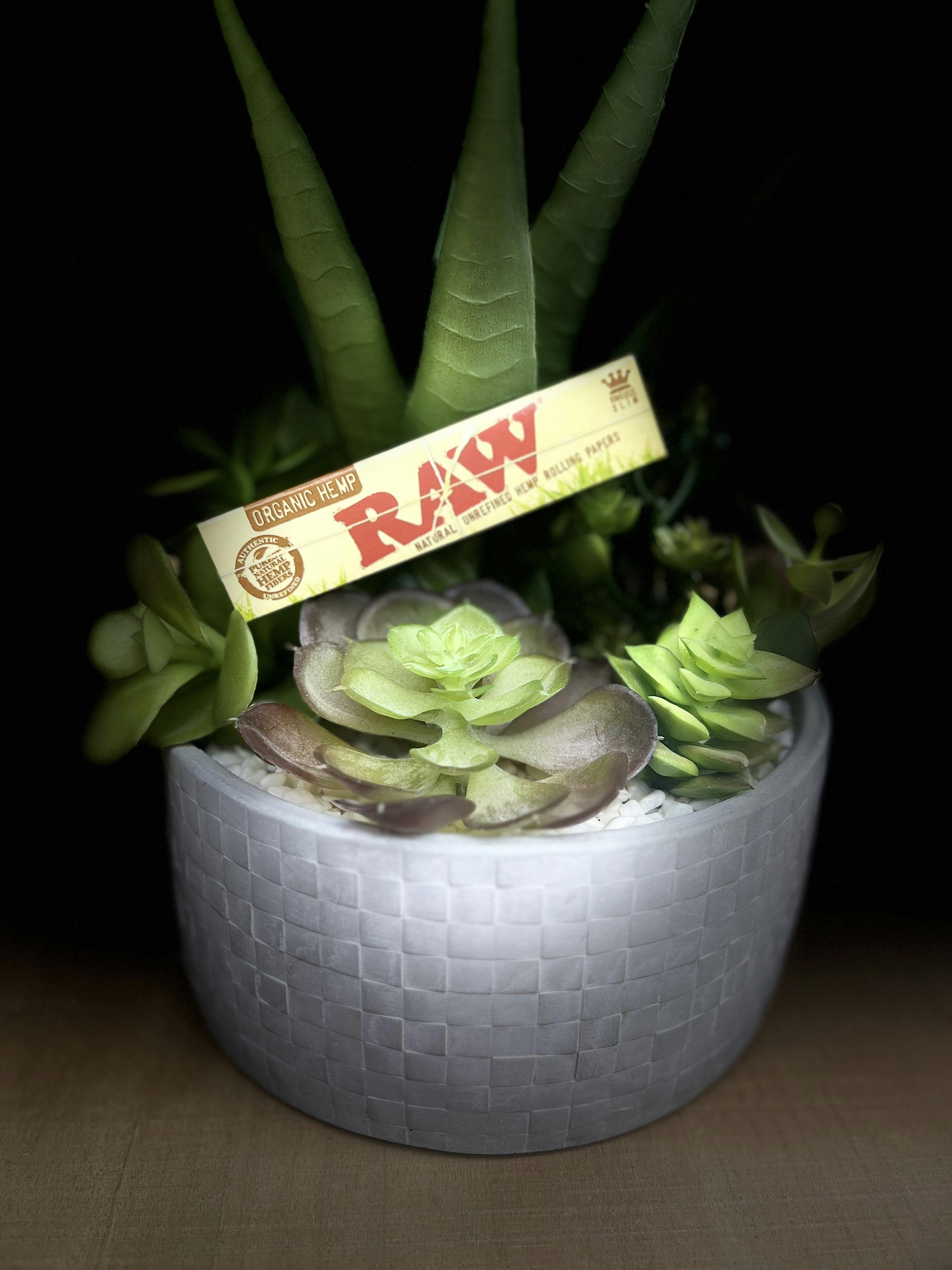 RAW | PAPERS | Organic Hemp | King Slim