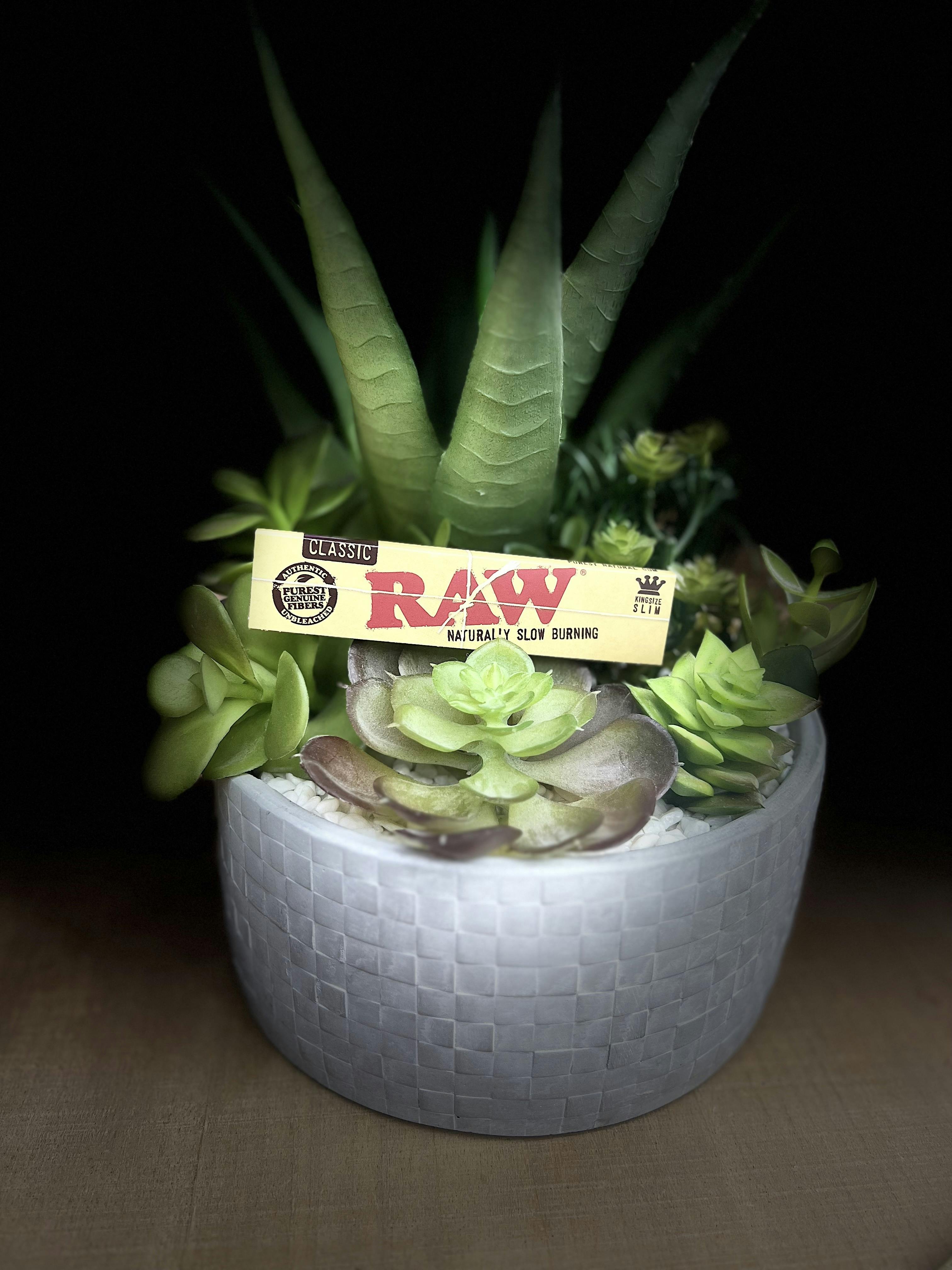 RAW | PAPERS | Classic | King Slim