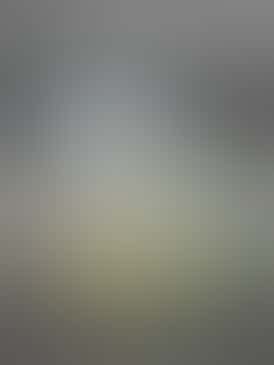 Distillate Disposable 1g - GO Block ICE - Peach Mango Ice, 88.58% THC - Good Day