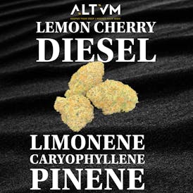 ALTVM - Prepacked - Lemon Cherry Diesel