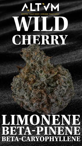 ALTVM - Bulk Flower SALE - Wild Cherry