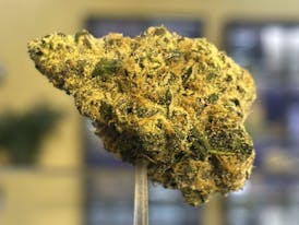 ALTVM - Prepacked 3.5G - Mafia Funeral x Jessica Rabbit