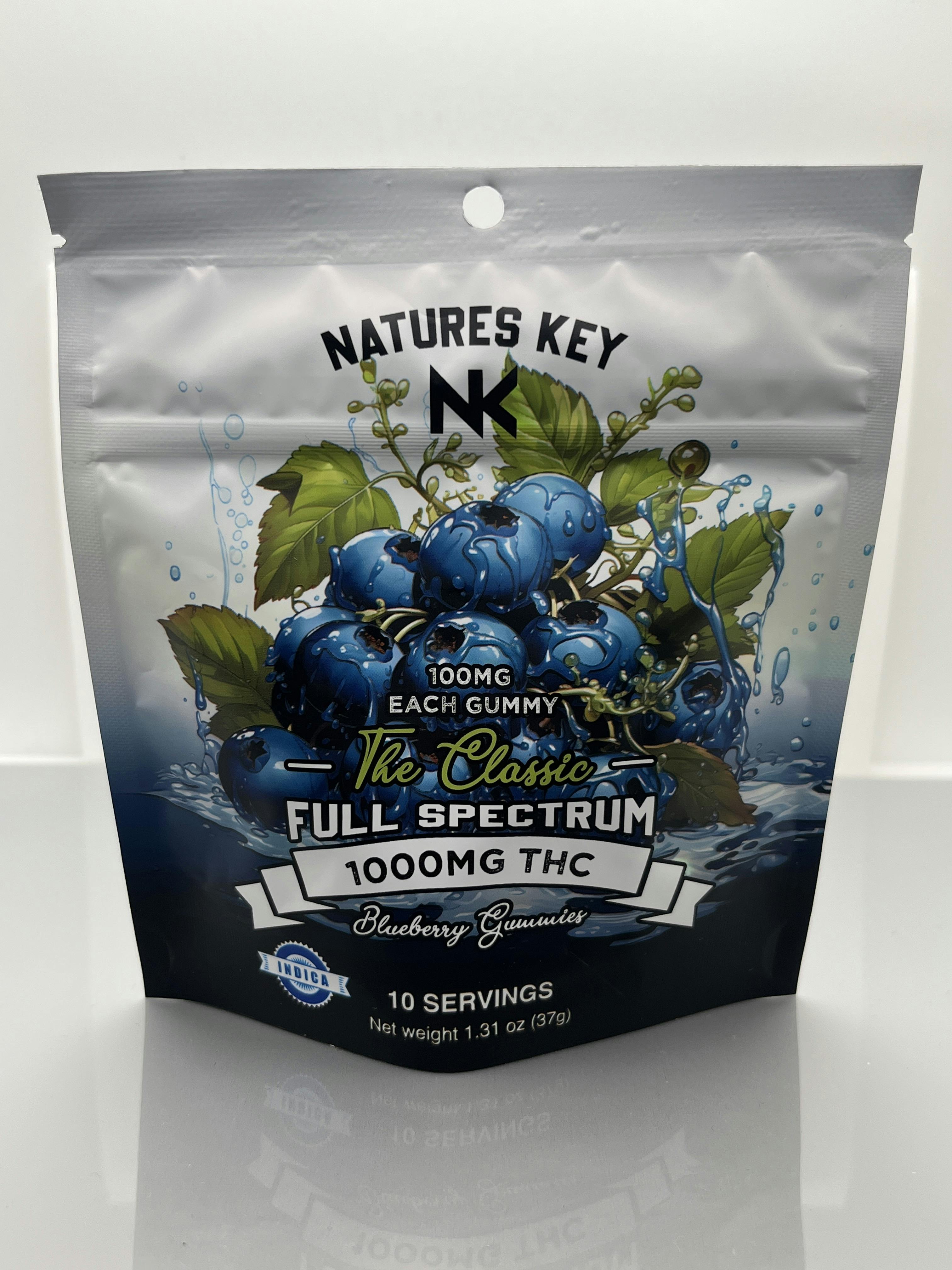 Natures Key | 1000mg Full Spectrum Edibles | Blueberry
