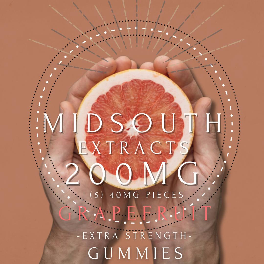 Gummies - 200mg - Grapefruit at DABBS Cannabis Dispensary