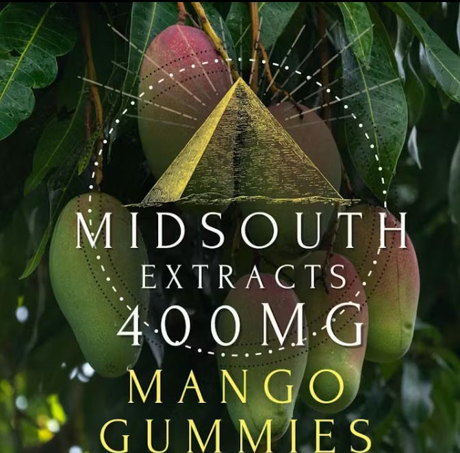 Gummies - 400mg/10pk - Mango at DABBS Cannabis Dispensary