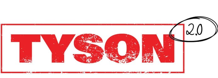 Southern Sky Brands | 300mg | Tyson Berry Uppercut | Gummies