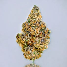 Craft - Gelonade Top Shelf Flower 3.5g