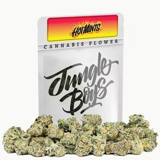 Jungle Boys | Hot Mints - 3.5g Flower Mylar