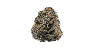 3.5G • Grandaddy Purple Exotics | INDICA | SMALLS