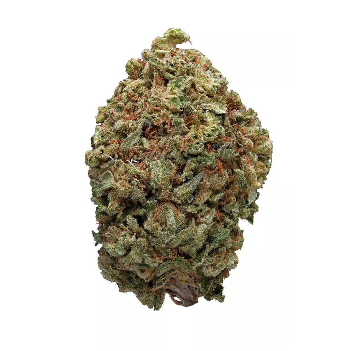 14G • Stone Road | Fruity Pebbles | HYBRID | SMALLS