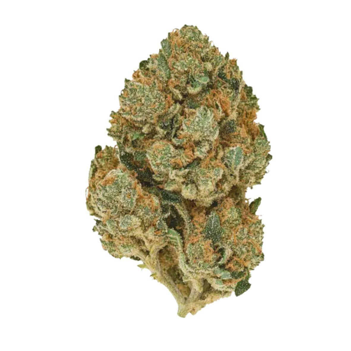 14G • Stone Road | Passionfruit Jack | SATIVA | SMALLS