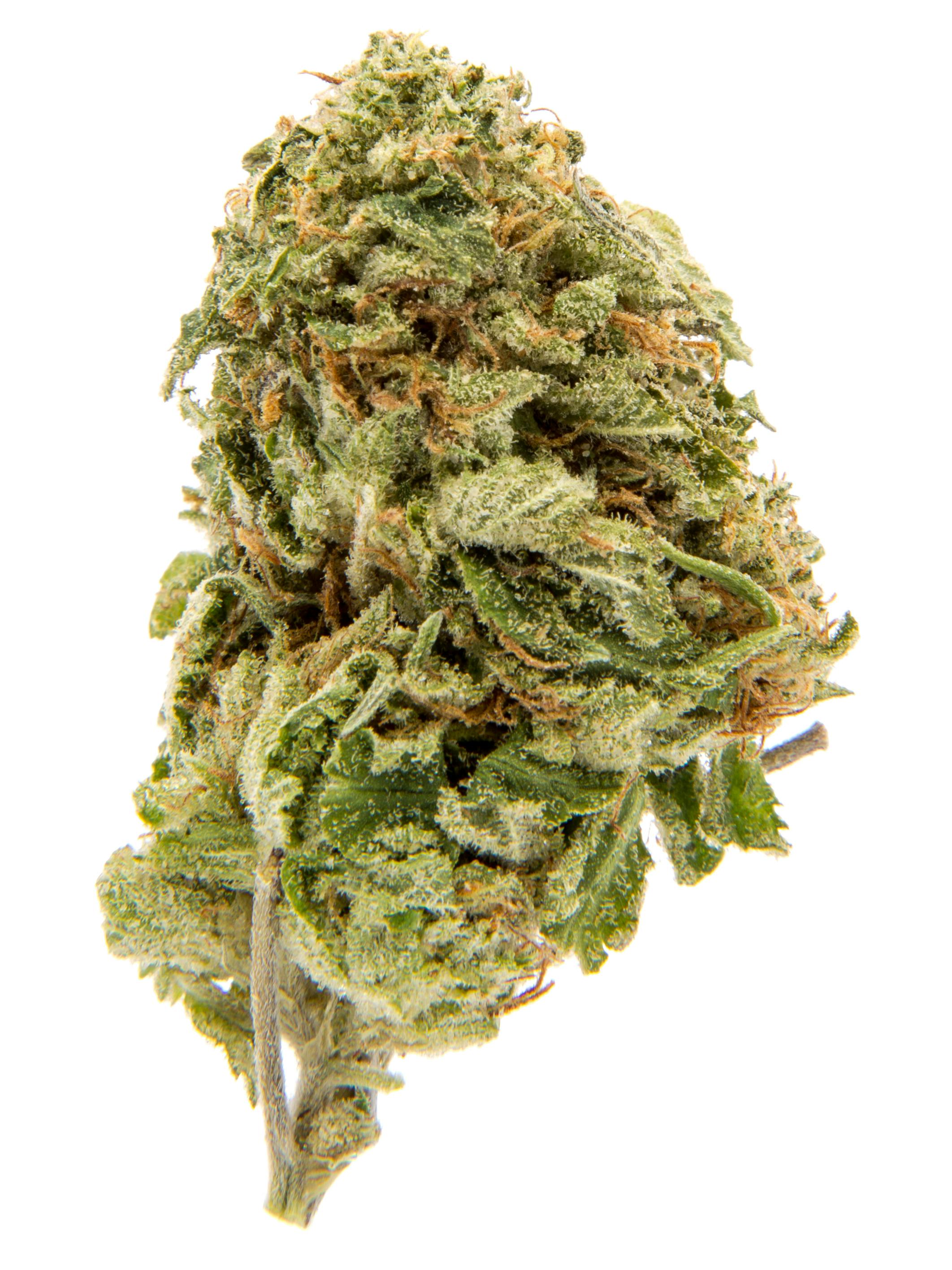 Cap Junky
