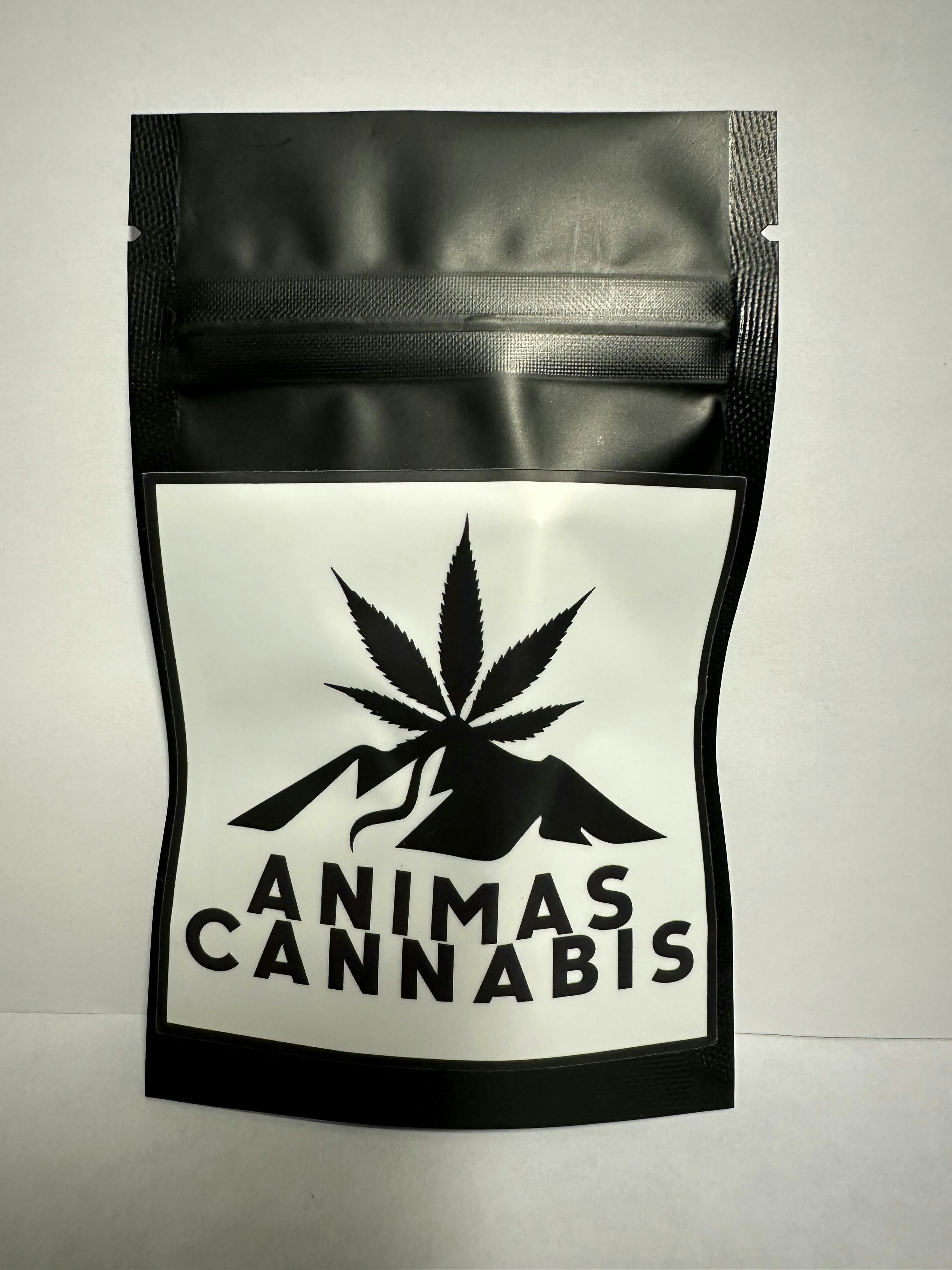 Animas Apple Runtz
