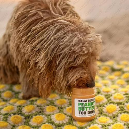 Zilla CBD - 500mg CBD Peanut Butter for Dogs