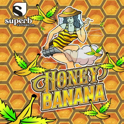 Superb - Live Rosin Disposable 0.5g - Honey Banana