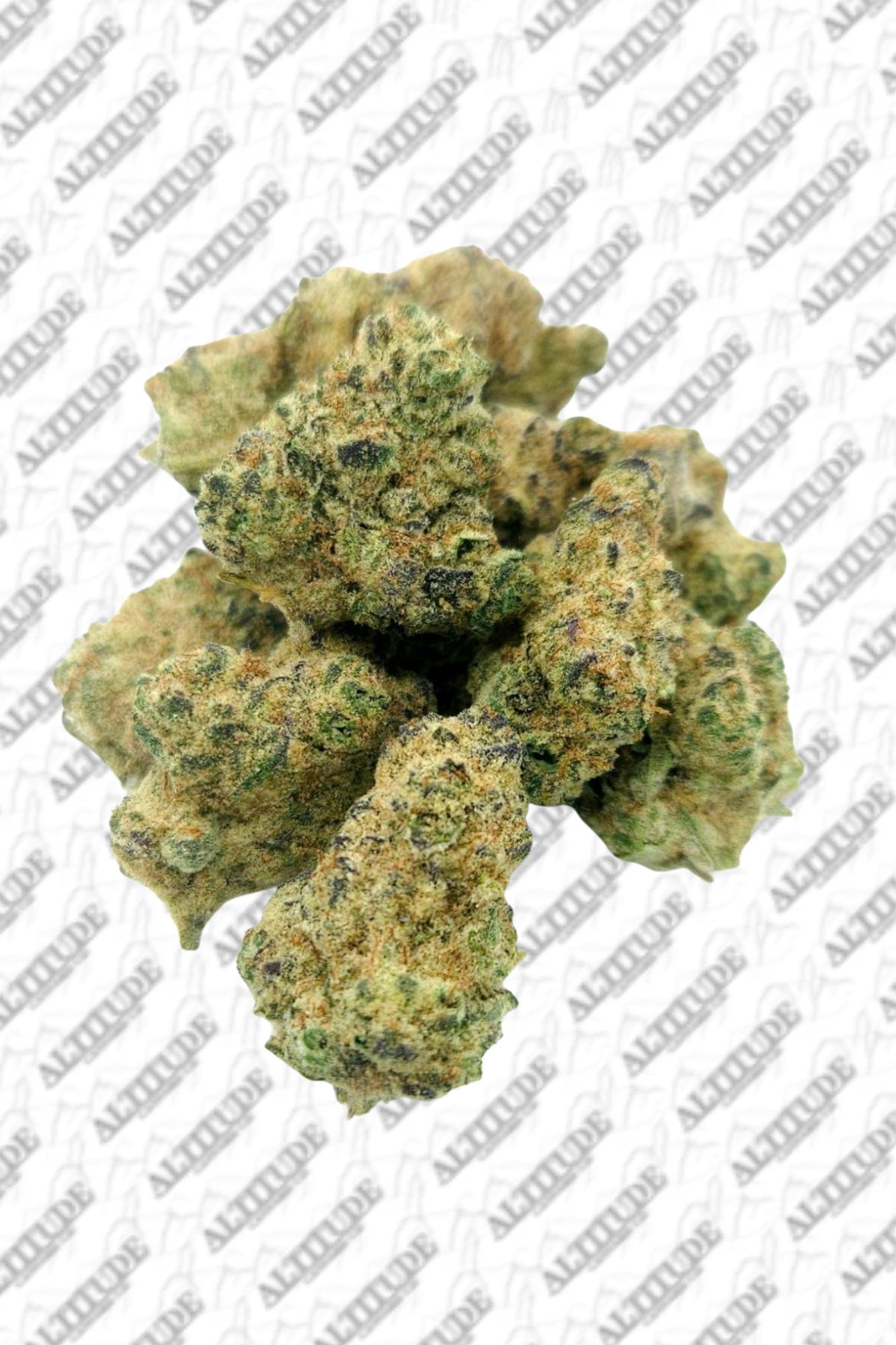 Garlic Cocktail - BULK BIGS