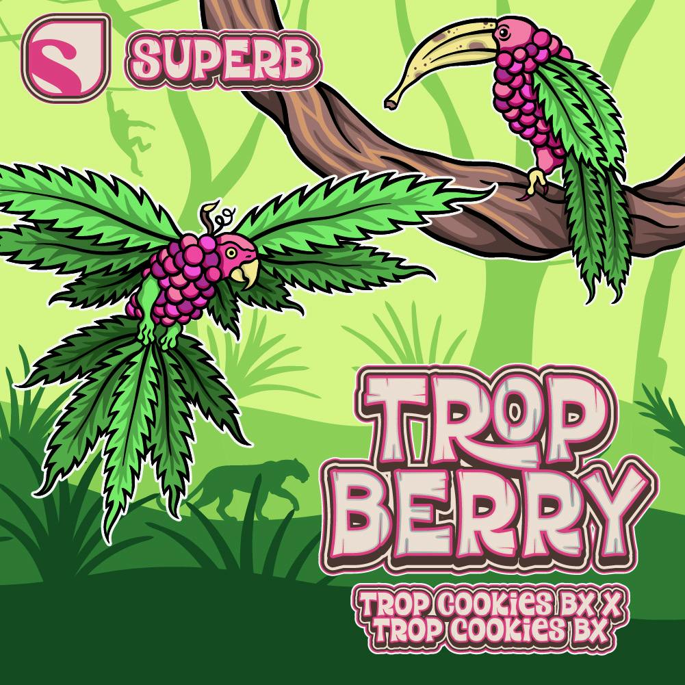 Superb - Live Rosin Disposable 0.5g - Trop Berry