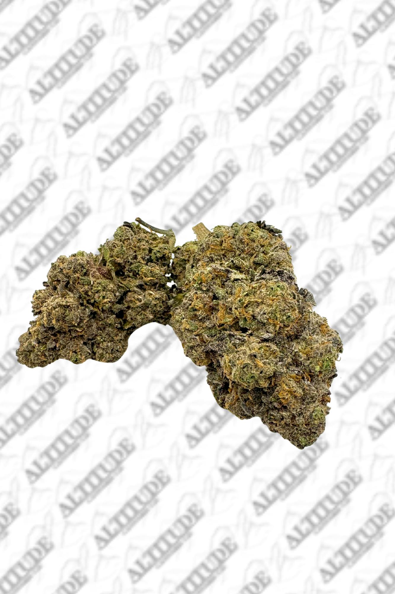 Gushers - Bulk Flower