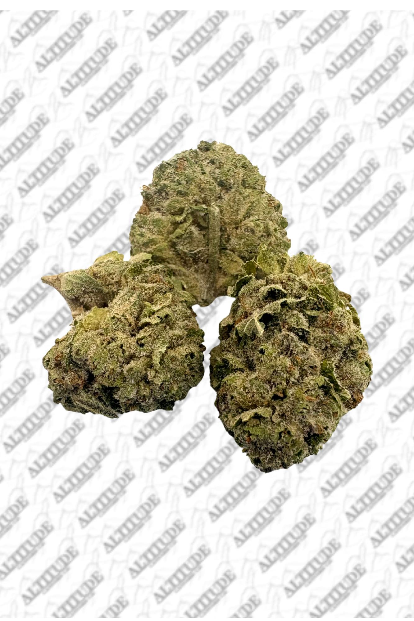 Vice City - Bulk Flower