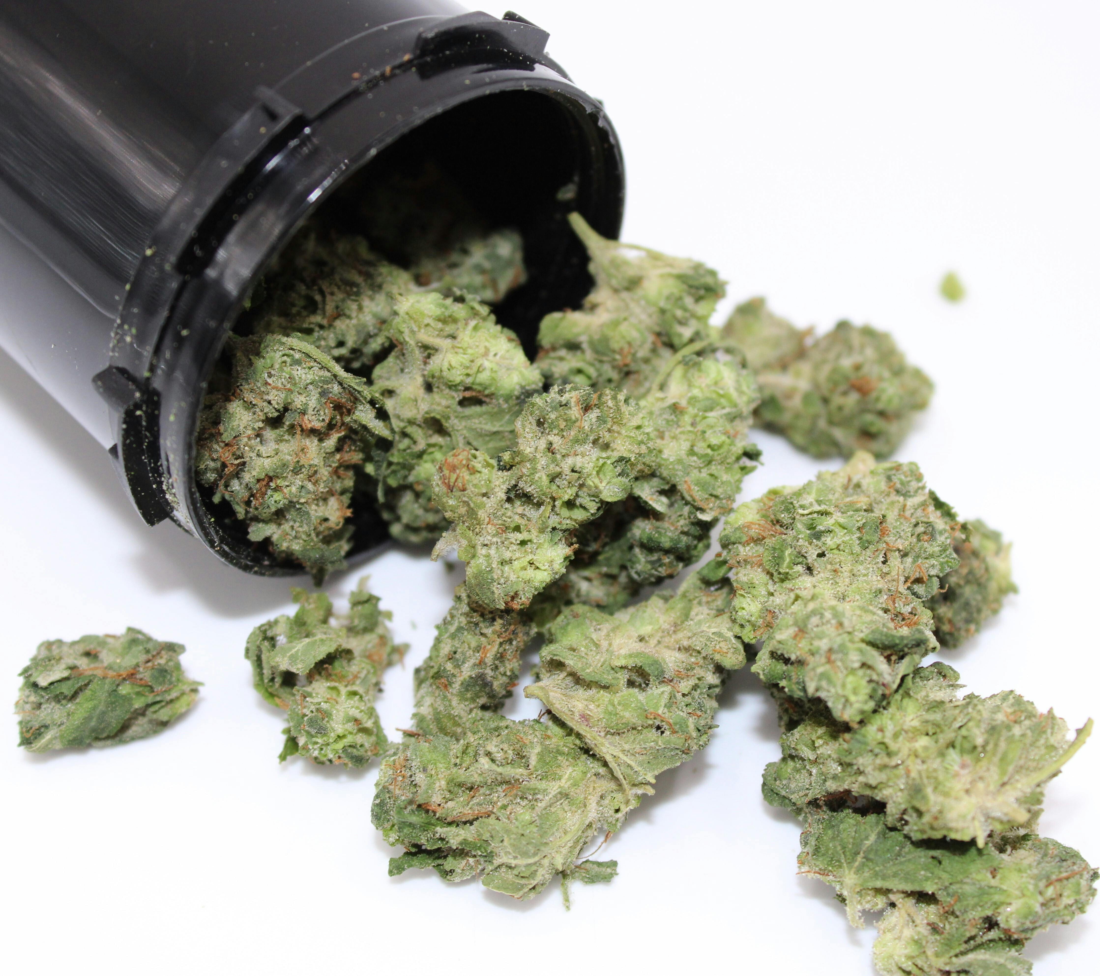 Pre Packed Bud 33 Mintz
