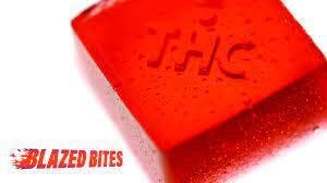 GH 100 mg Blazed Bites Gummies - Variety Pack at Ridankulous Alamogordo - Cannabis Dispensary