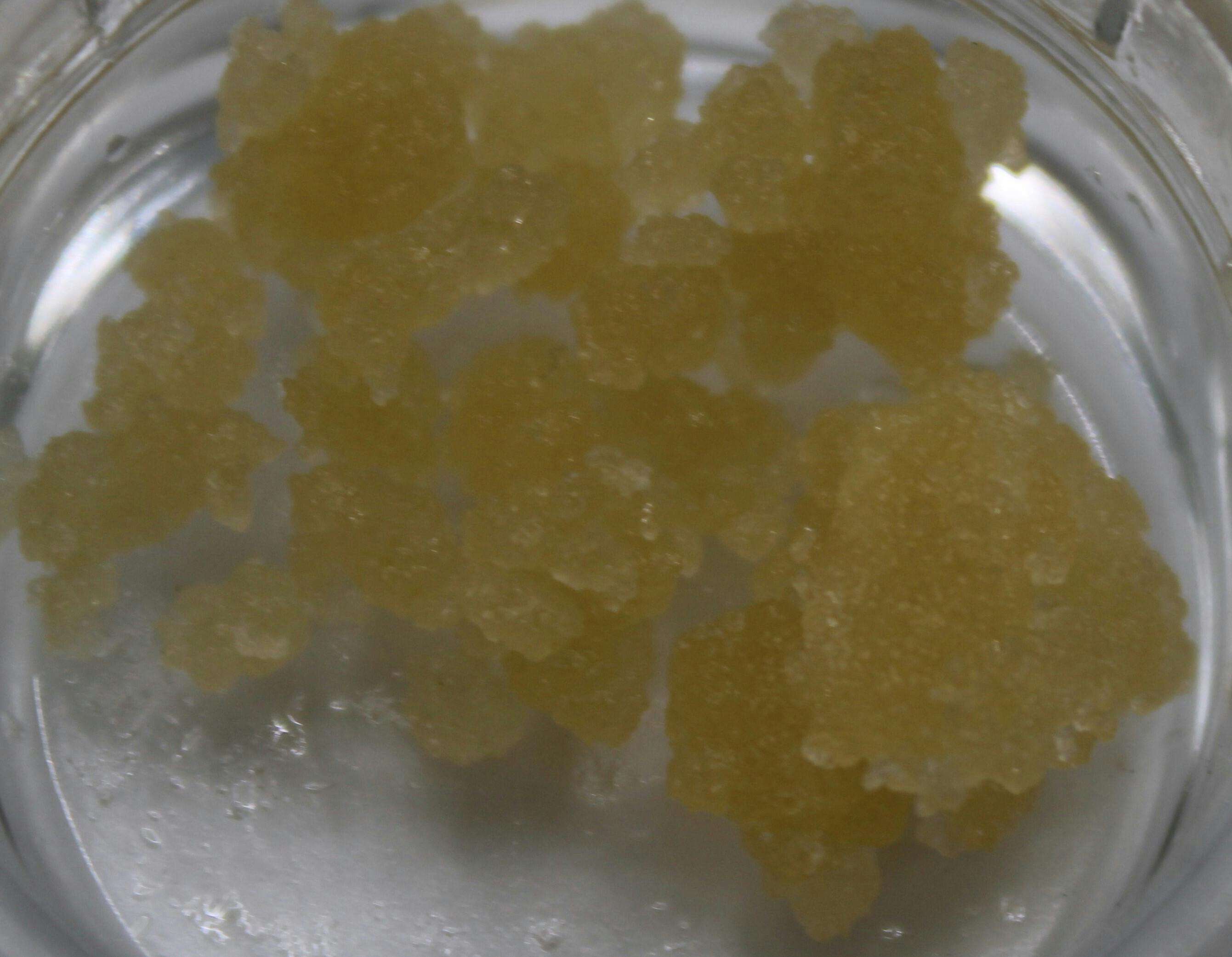 Guzzler wax at Ridankulous Alamogordo - Cannabis Dispensary