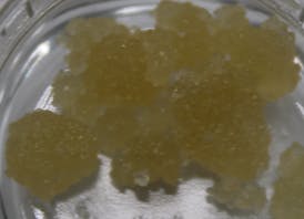 Jerry Rice Wax