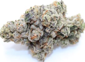 Slam Dunk Skunk