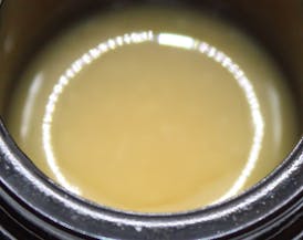 Sugar Shack Live Rosin