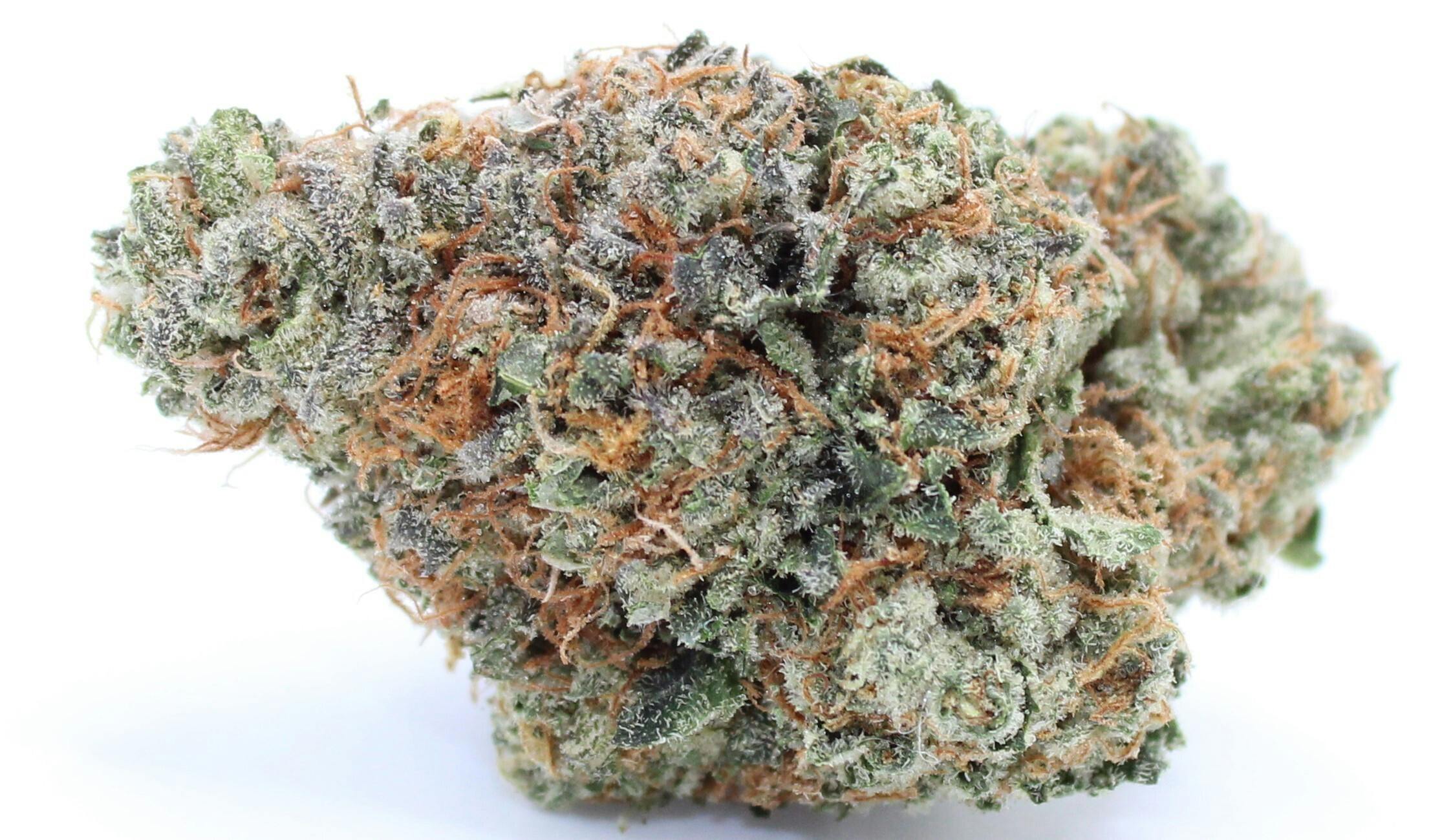 Animal Kush
