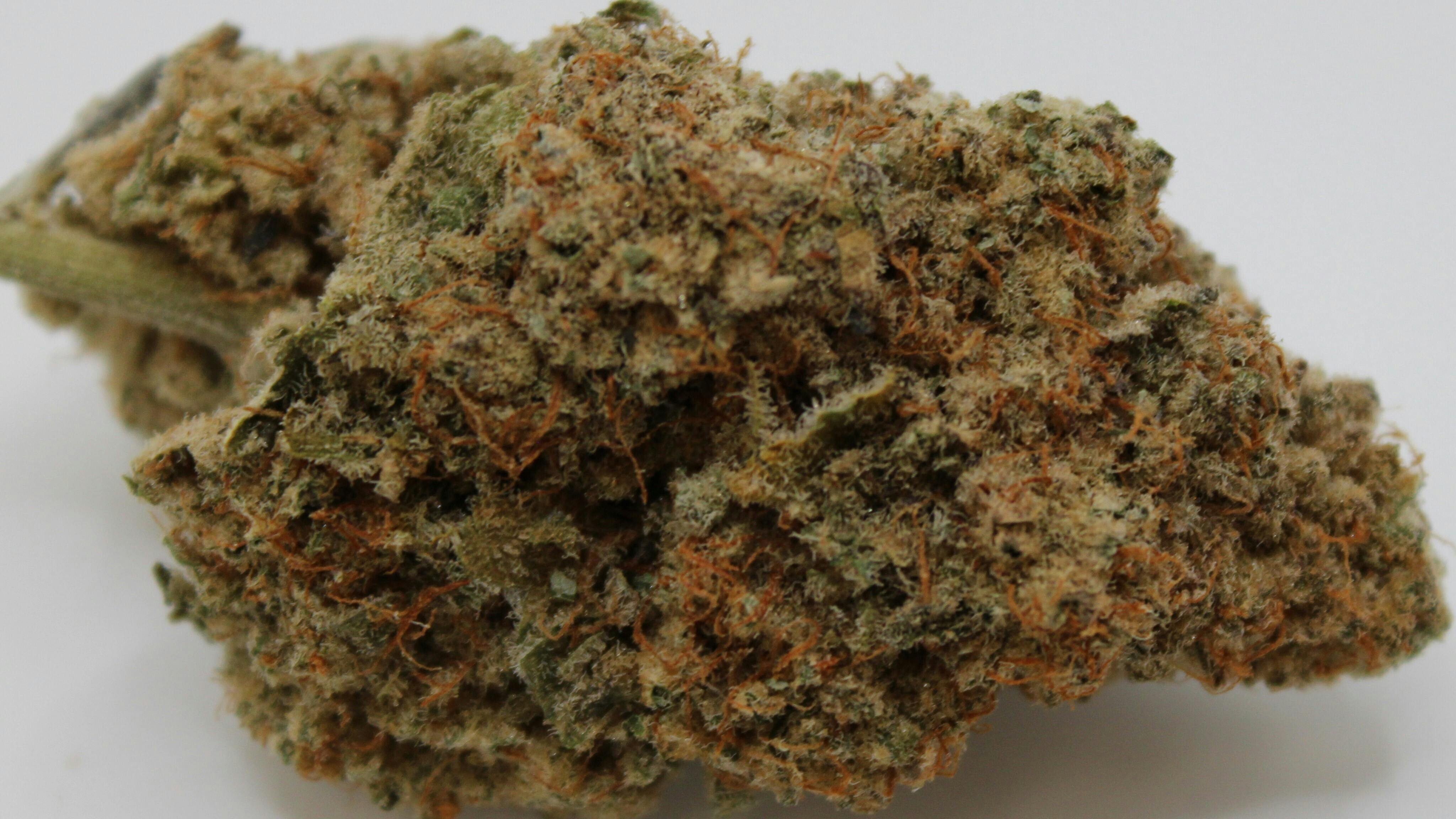 Pre Packed Flower Gram - Black Ice at Ridankulous Alamogordo - Cannabis Dispensary