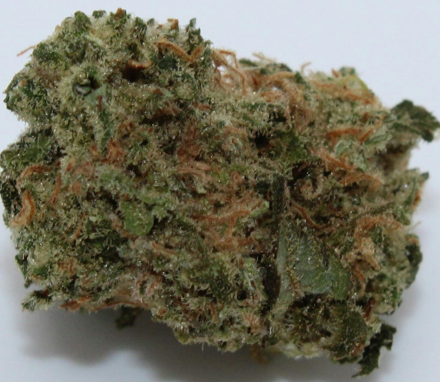 Pre Packed Flower Gram - Gorilla Cookies