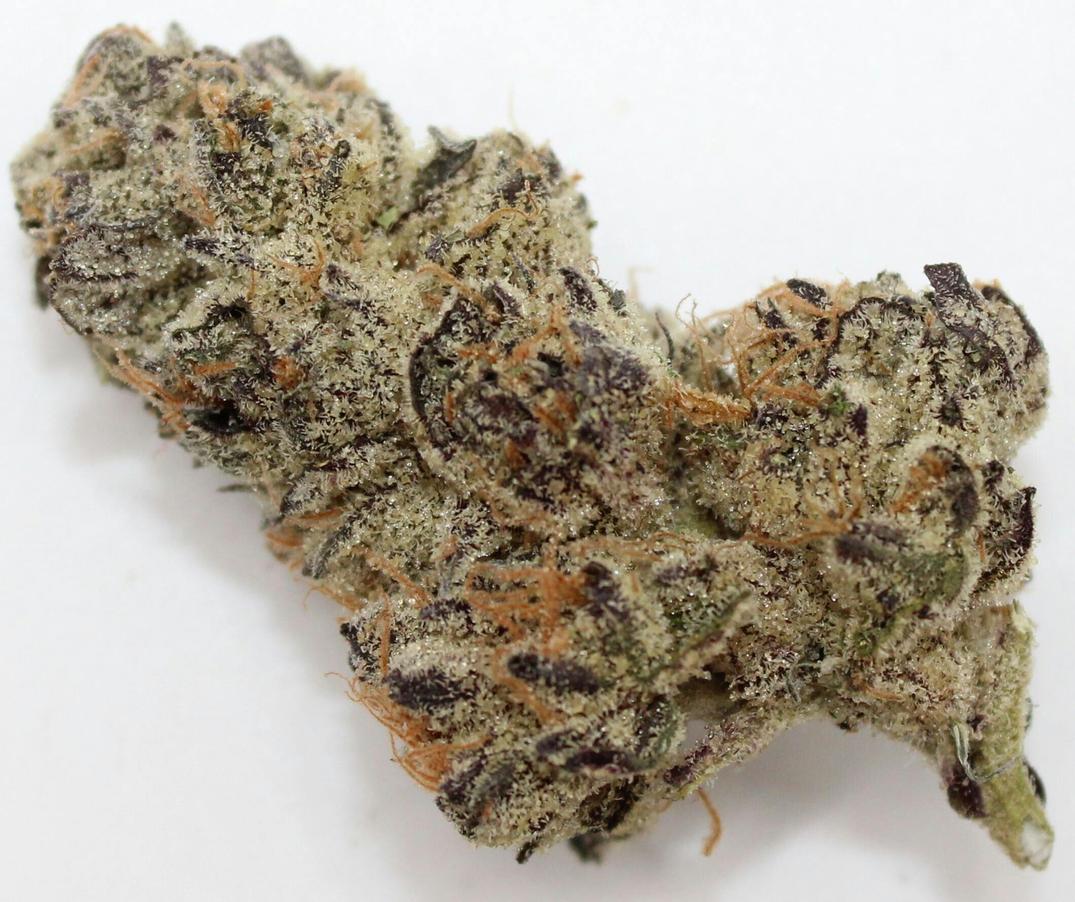 Kush Head