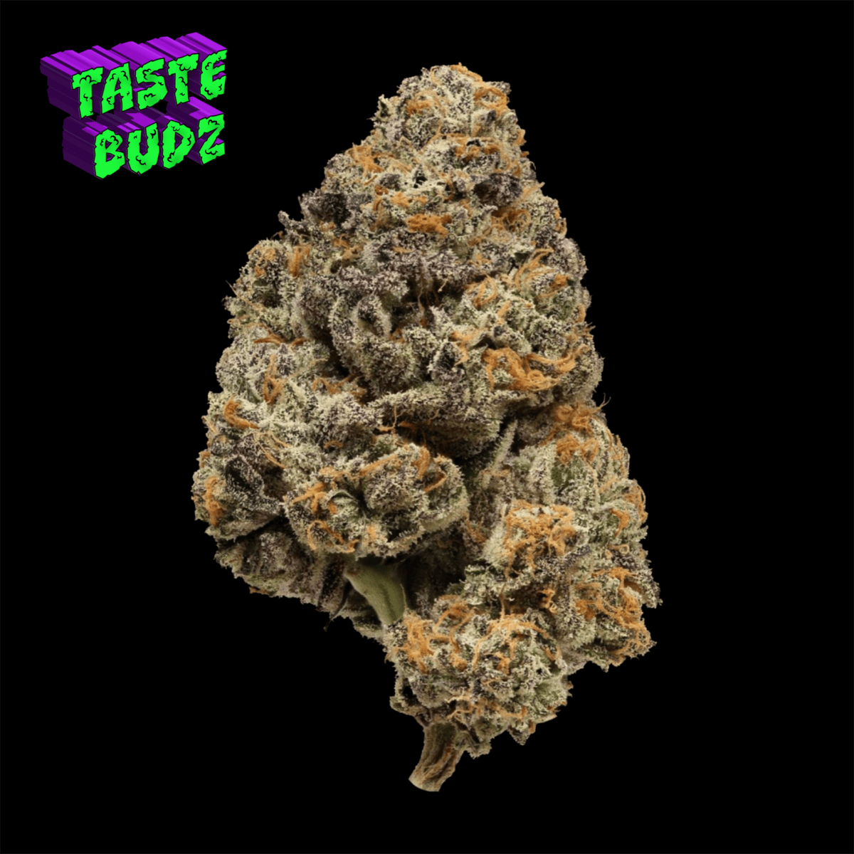 GIRL SCOUT COOKIES | Top Shelf Indoor | Hybrid | 29.7% THC | TASTE BUDZ