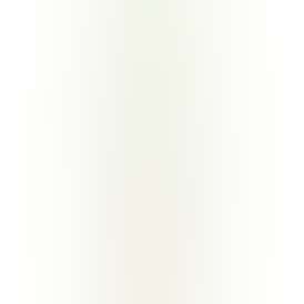 Cyclones Hemp Cone with Wooden Tip - Wonderberry Flavor