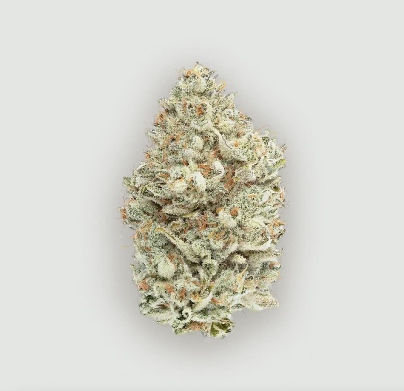 CEREAL MILK | Hybrid | 33.3% THC | CBX x TASTE BUDZ
